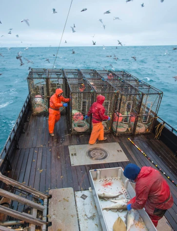 201301 Cod Pots on Deck Birds JR 2-Web JPG