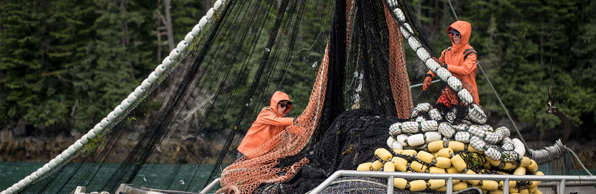 rfm-alaska-salmon-Banner