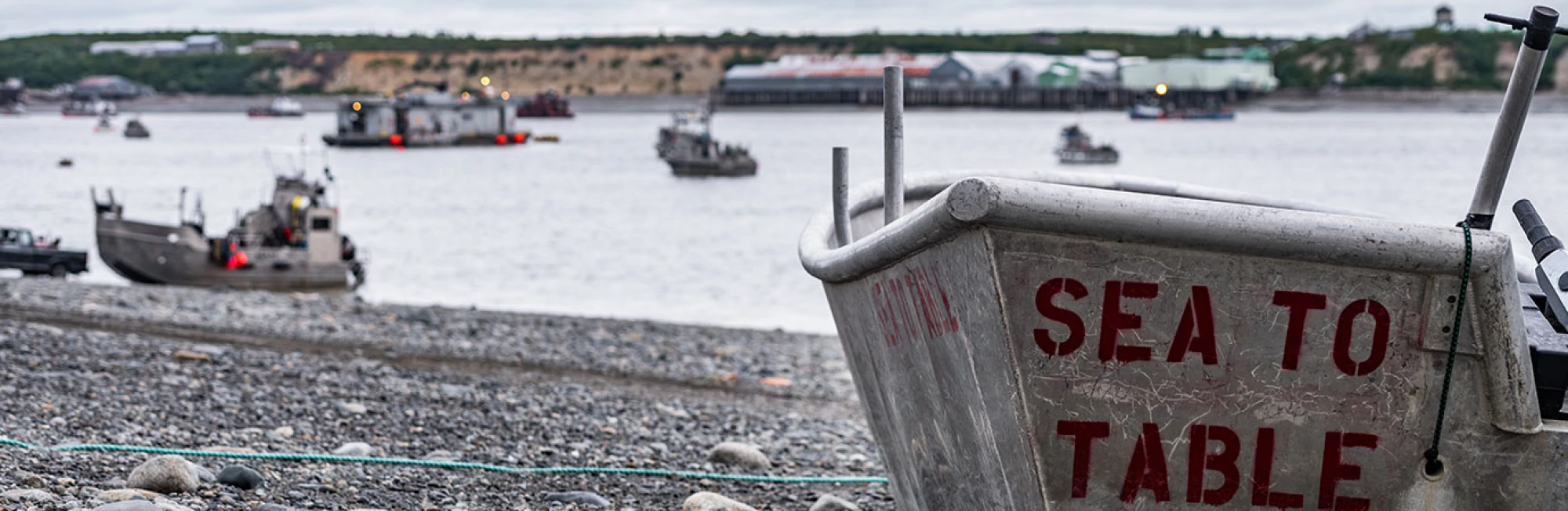 msc-alaska-salmon-Banner