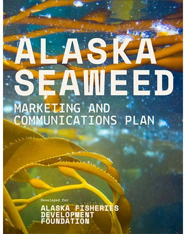 ak-seaweed-marketing-plan-cover