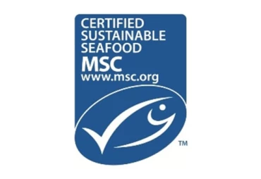afdf-news-msc-cert