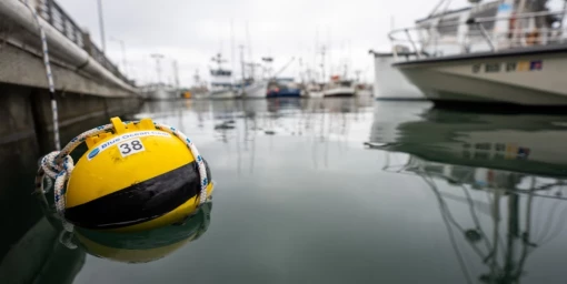 Blue ocean gear pic