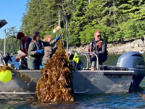 Mariculture