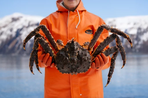 202412_Harvester Holding King Crab_RTC-Web - Medium