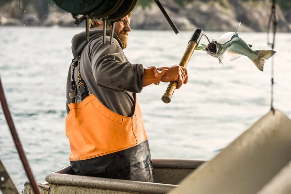 201401 Trolling in Action CM-Web JPG