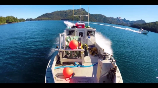 Be a Rock Star Video