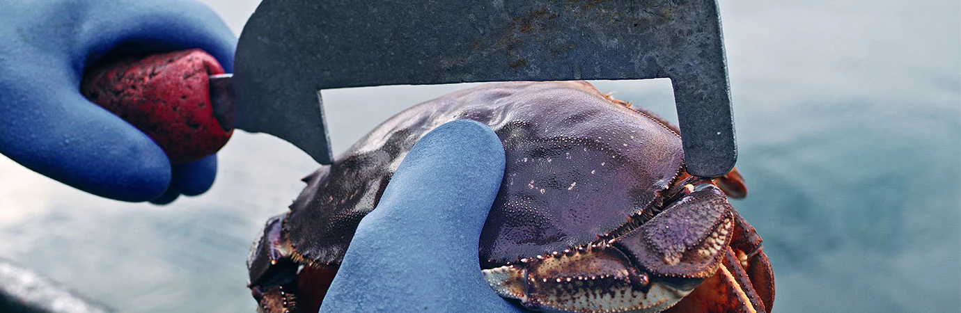 banner-social-responsibility