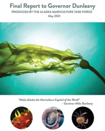 governor-report-cover