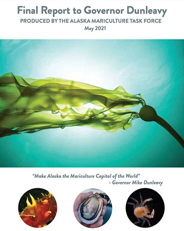 governor-report-cover