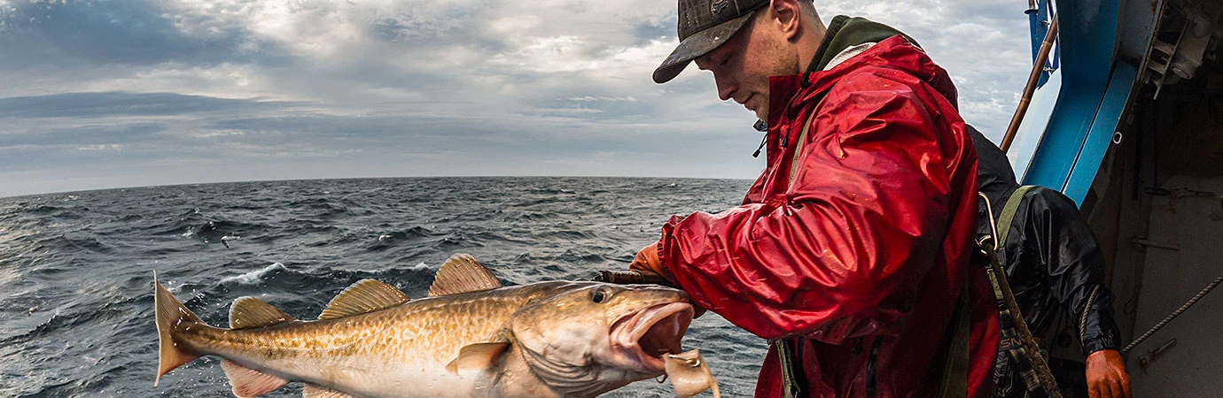 CSI Pacific Cod | Alaska Fisheries Development Foundation