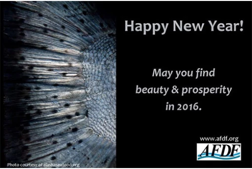 afdf-highlight-NY-2016