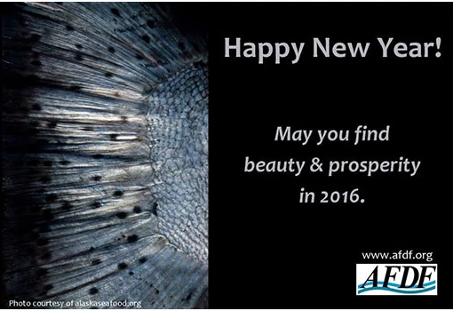 afdf-highlight-NY-2016