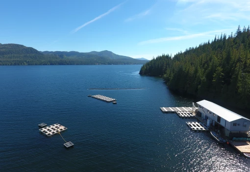 DJI_0046.JPG