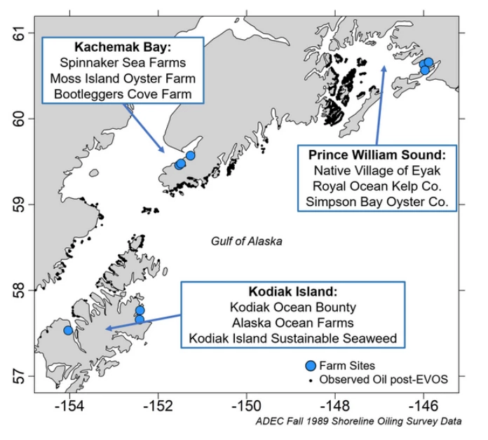 Screen Shot 2023-03-07 at 11.30.34 AM