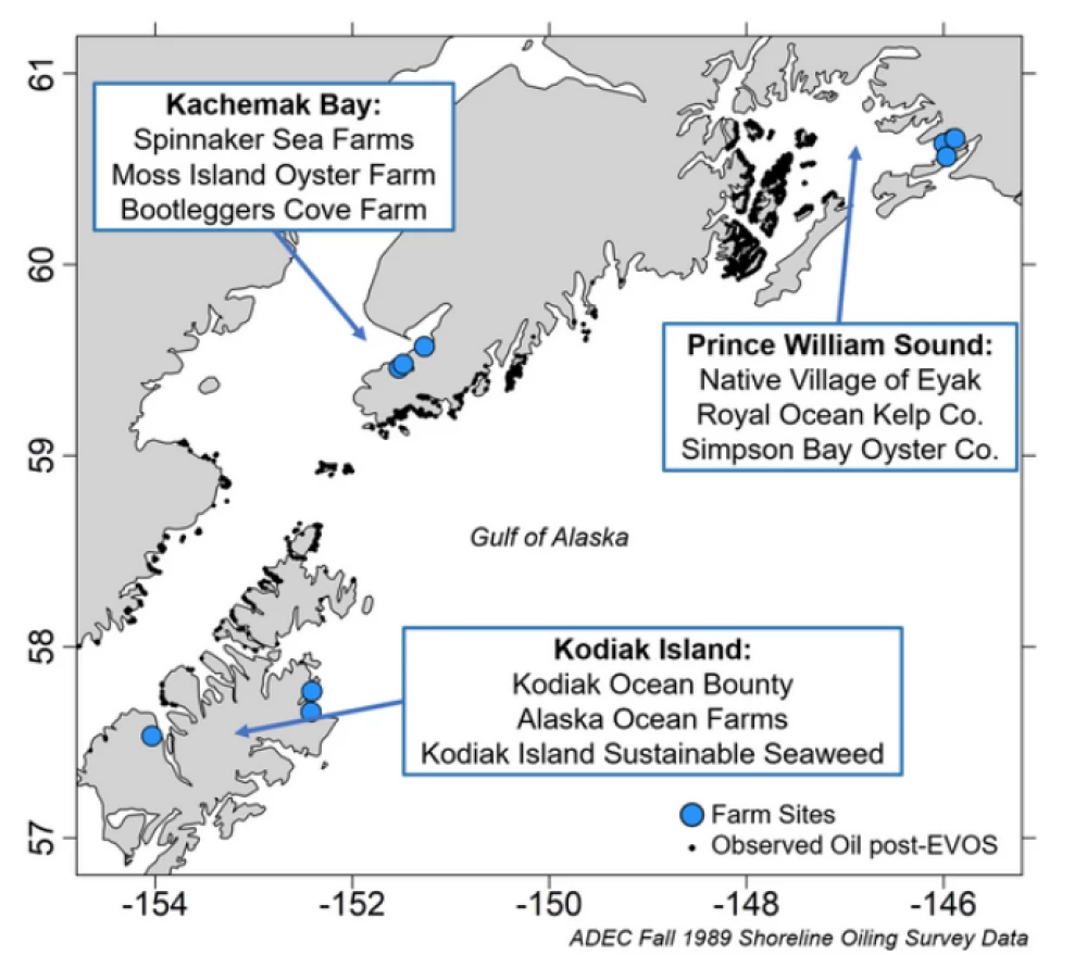 Screen Shot 2023-03-07 at 11.30.34 AM