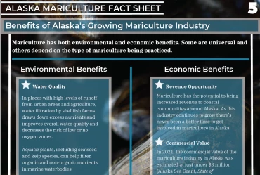 Screen Shot 2023-03-20 at 9.02.55 AM