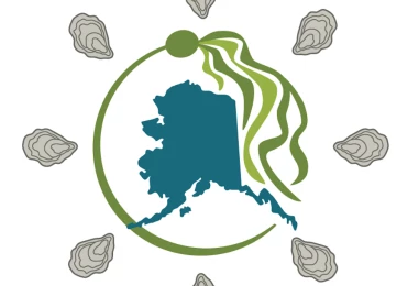 Screen Shot 2023-03-29 at 3.46.34 PM