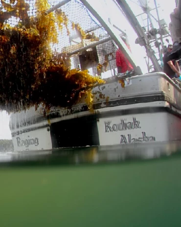 Screen Shot 2023-04-18 at 11.07.10 AM