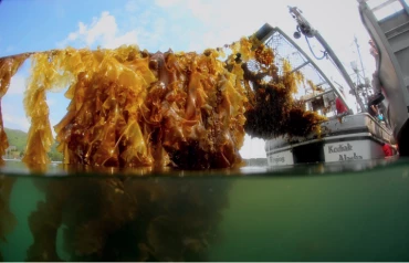 Screen Shot 2023-06-27 at 10.14.52 AM