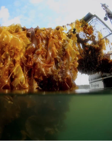 Screen Shot 2023-06-27 at 10.14.52 AM