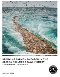 Screen Shot 2023-07-26 at 3.35.27 PM