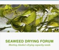 Screen Shot 2023-08-08 at 9.38.56 AM