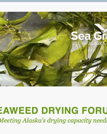 Screen Shot 2023-08-08 at 9.38.56 AM