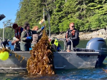 Mariculture