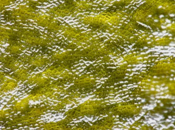 Screen Shot 2022-06-09 at 10.54.52 PM