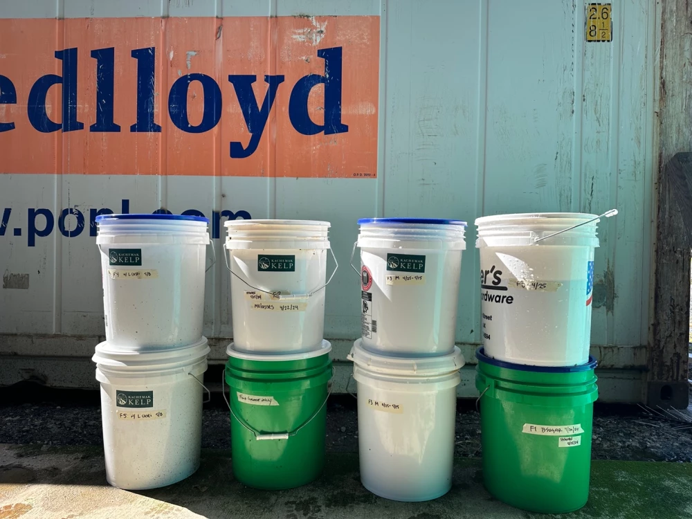 JIP-7-Saltwater-Inc-Regeneration-North-2