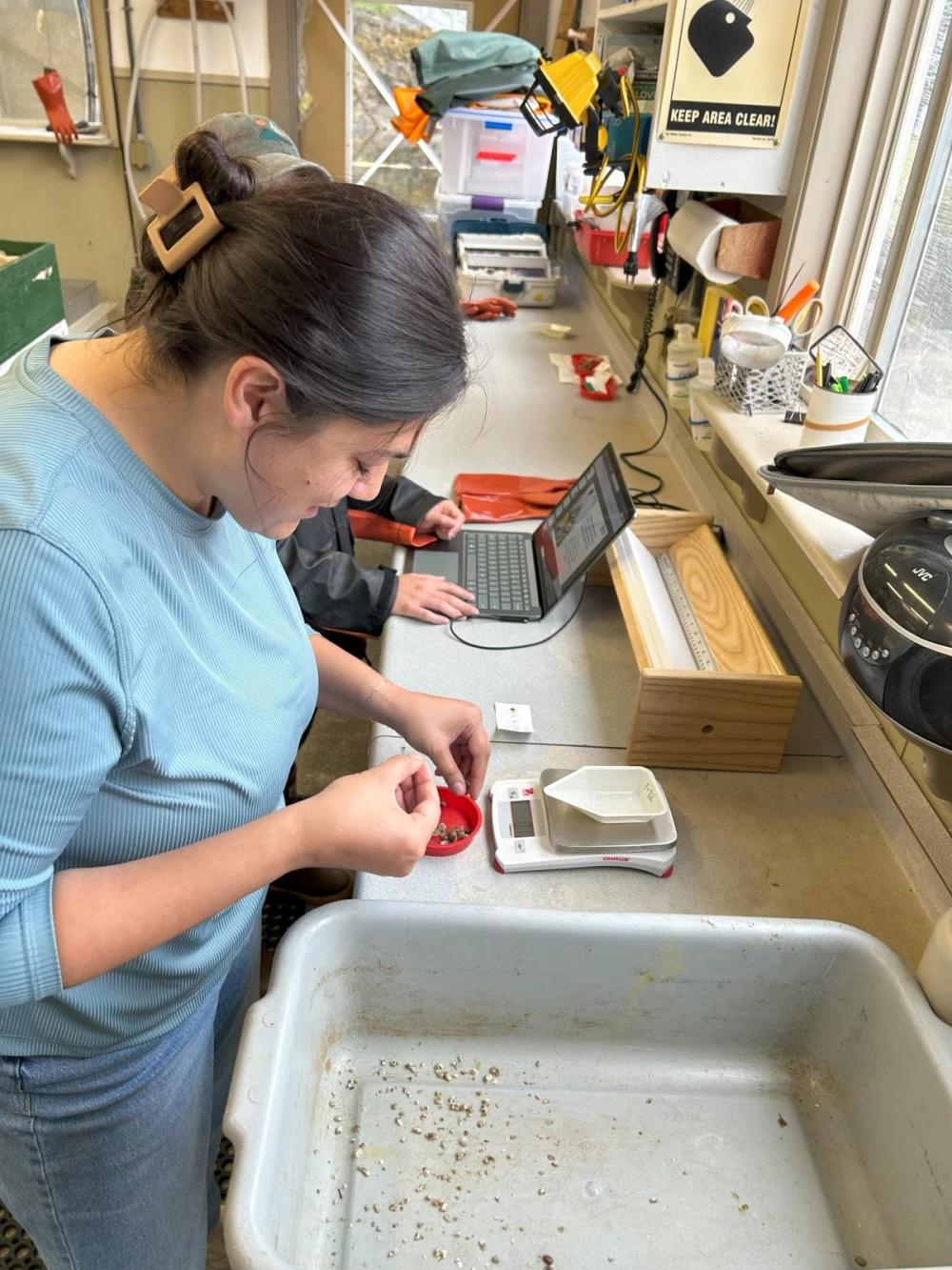 data-collct-2-scaled