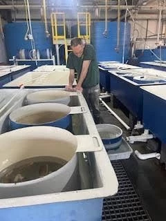 CRRC-2-e1729639682498