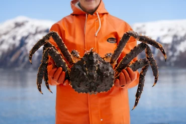 202412_Harvester Holding King Crab_RTC-Web - Medium