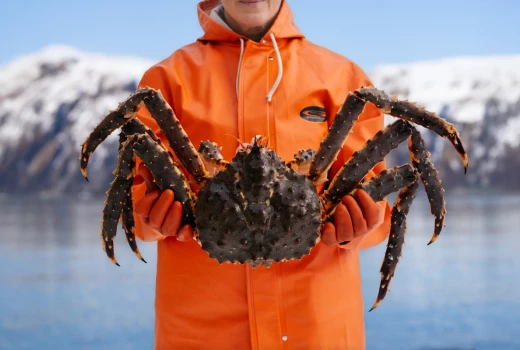 202412_Harvester Holding King Crab_RTC-Web - Medium