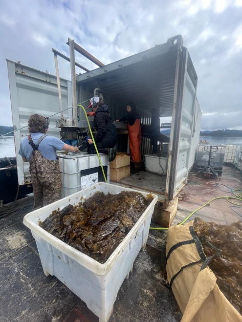 Screenshot-2025-09-04-151557