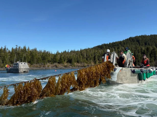 Screenshot-2025-09-04-151603