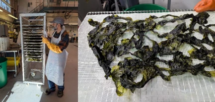 Screenshot-2025-09-04-151910